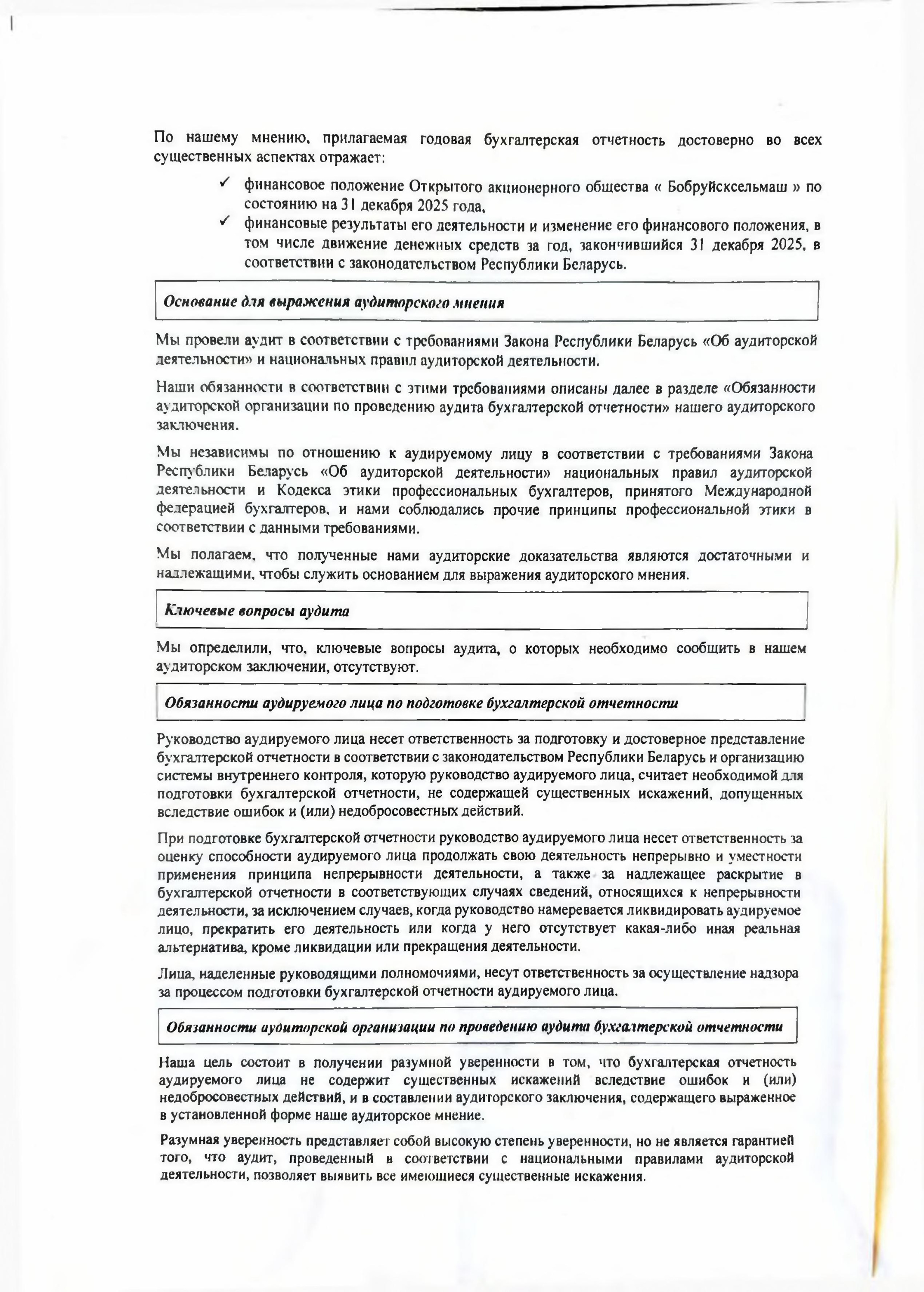 Аудиторское заключение 2025-1.jpg