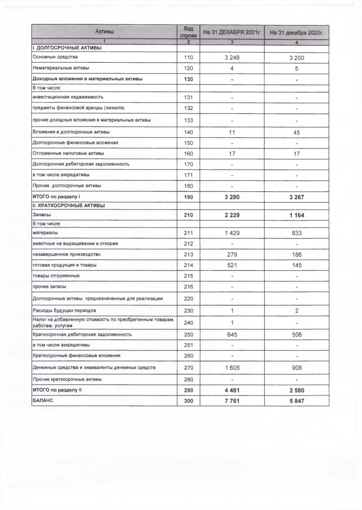 Бухгалтерский баланс за 2021 год2.png